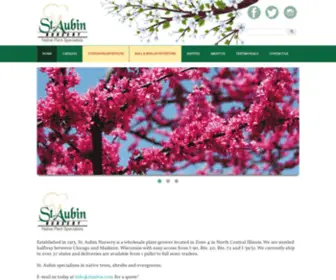 Staubin.com(St Aubin) Screenshot