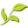 Stayinghealthy.org Favicon
