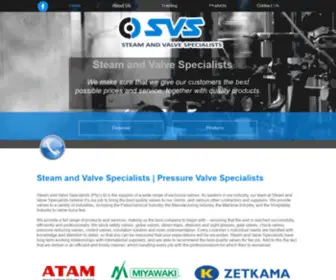 Steamandvalvespecialist.co.za(Steam and Valve Specialists) Screenshot