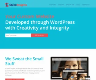Steckinsights.com(Steck Insights Web Design) Screenshot