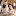 Stefaniandjoeldunn.com Favicon