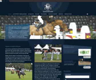 Stehermelle.com(Elevage de chevaux belgique commerce de chevaux belgique elevage de chevaux de sport) Screenshot