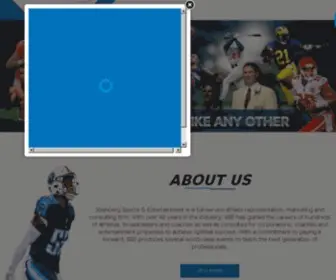 Steinbergsports.com(Steinberg Sports & Entertainment) Screenshot