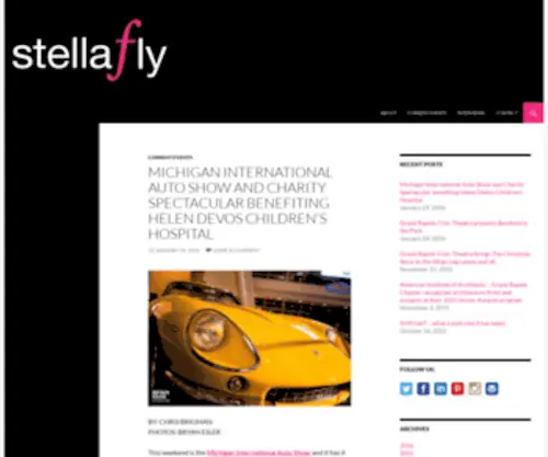 Stellaflysocialmedia.com(Password Required) Screenshot