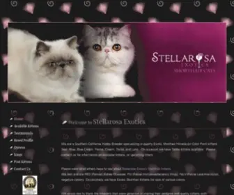 Stellarosaexotics.com(Exotic Shorthair) Screenshot