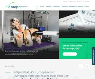 Stepentreprendre.be(Entreprendre) Screenshot