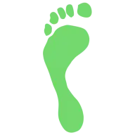 Stepintl.org Favicon