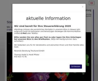 Steuerprofis.ch(Steuererklärungen) Screenshot