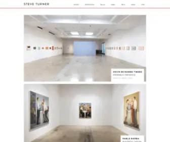 Steveturnercontemporary.com(Steve Turner) Screenshot