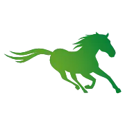 Stiefel-Net.com Favicon