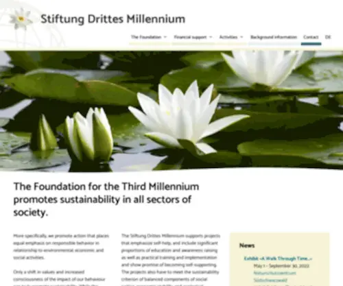 Stiftung3M.org(Stiftung Drittes Millennium) Screenshot