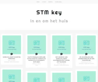 STmkey.com(STM key) Screenshot