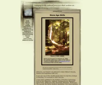 Stoneageskills.com(Stone Age Skills Website) Screenshot