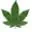 Stonedfreeroam.com Favicon