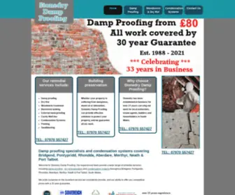 Stonedry-Damp-Proofing.com(Stonedry Damp Proofing) Screenshot