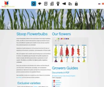 Stoopflowerbulb.nl(70 years of experience and specialization. Stoop Flowerbulbs Holland) Screenshot