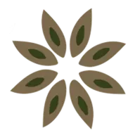 Stopspices.be Favicon