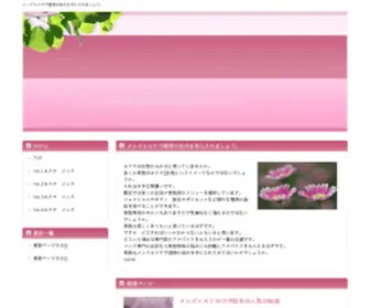 Storefrontunited.com(Web design) Screenshot