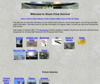 Storm-Crow.co.uk(This web site) Screenshot