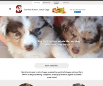 Stormerstockdogs.com(Main Page) Screenshot