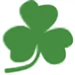 Stpatrick.co.nz Favicon