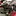 STR8Upmounts.com Favicon