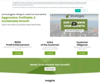 Strategex.com(80/20 Consulting) Screenshot