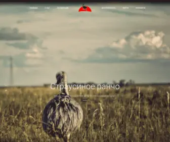 Strausinoe-Rancho.ru(Страусиное) Screenshot