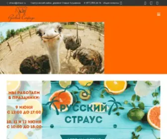 Straus.ru(страус) Screenshot