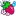 Strawberryreef.com Favicon