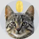 STrcat.org Favicon