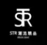 STR.com.tw Favicon