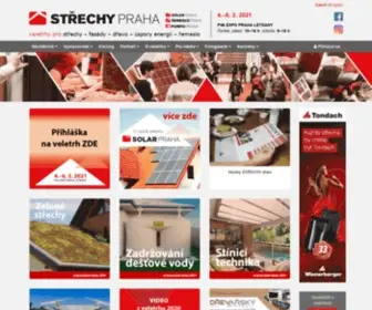 Strechy-Praha.cz(Úvodní stránka) Screenshot