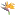 Strelitziapromotions.com Favicon