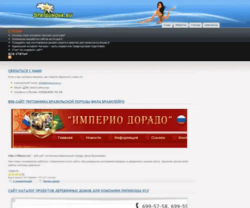 Strigunova.ru(Создание сайта) Screenshot