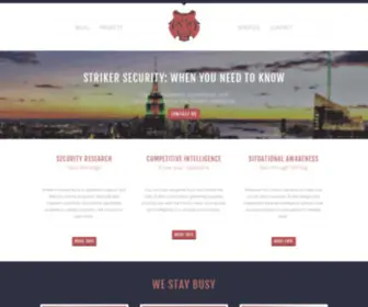 Strikersecurity.com(Cyber Security and Reconnaissance Consulting) Screenshot