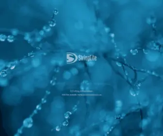 Stringlite.co.za(Web Development) Screenshot