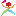 String.quest Favicon