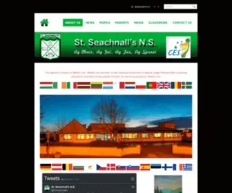 Stseachnalls.ie(School Dunshaughlin Meath Ireland) Screenshot