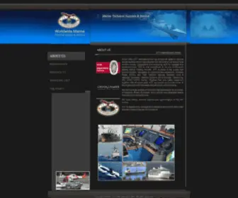 STT-INT.com(STT INT) Screenshot