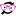 Studentdiscount.com Favicon