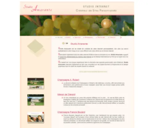 Studio-Amarante.com(Studio Amarante) Screenshot