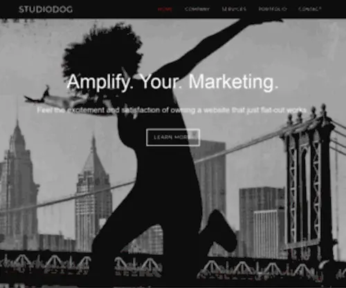 Studiodog.com(Make & Market Websites) Screenshot