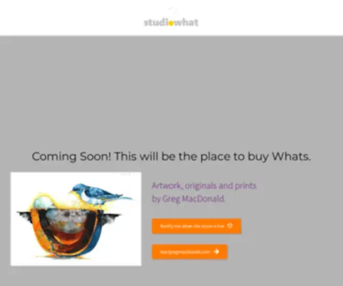 Studiowhat.net(Website Design) Screenshot