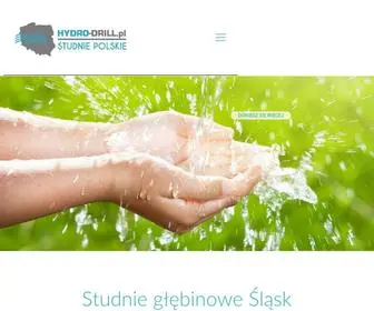 Studniepolskie.pl(Studnie Głębinowe Śląsk) Screenshot