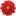Study-IN-Germany.de Favicon