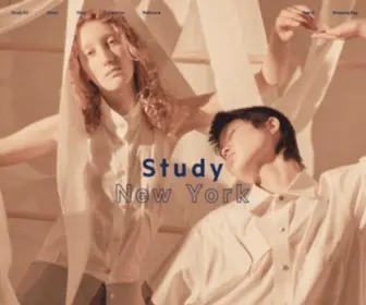 Study-NY.com(Study New York) Screenshot