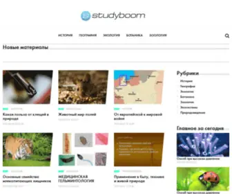 Studyboom.ru(Школьный мир) Screenshot