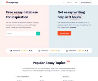 Studycorgi.com(Studycorgi) Screenshot