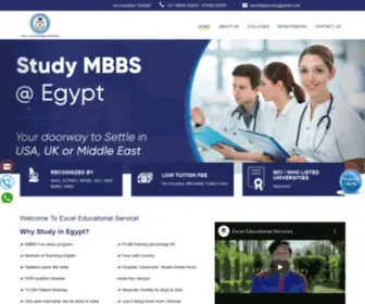 Studymbbsegypt.com(Excel) Screenshot